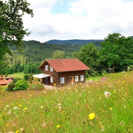 דראכזלשריד Comfort Apartment With Balcony In The Beautiful Bavarian Forest מראה חיצוני תמונה