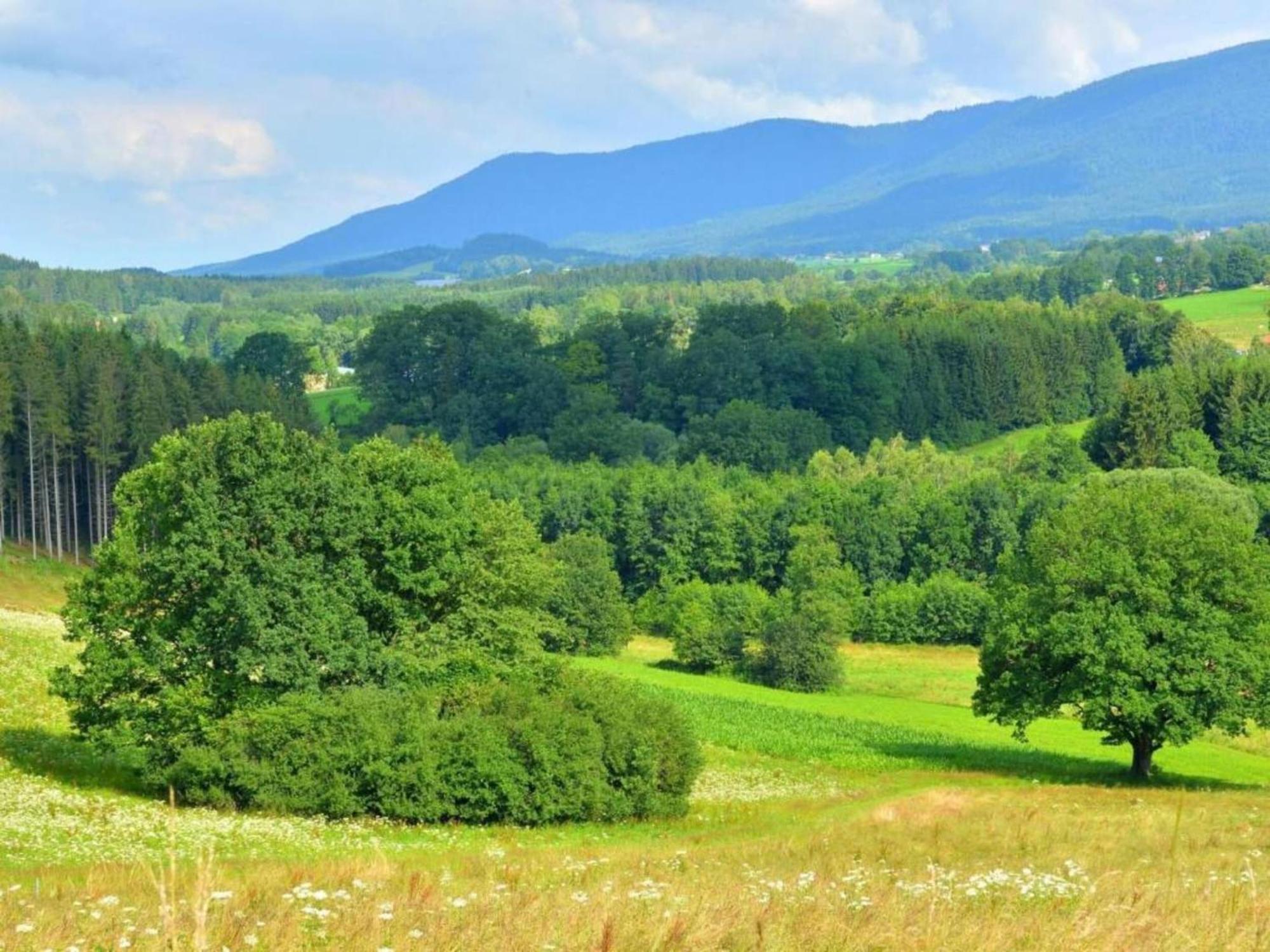דראכזלשריד Comfort Apartment With Balcony In The Beautiful Bavarian Forest מראה חיצוני תמונה