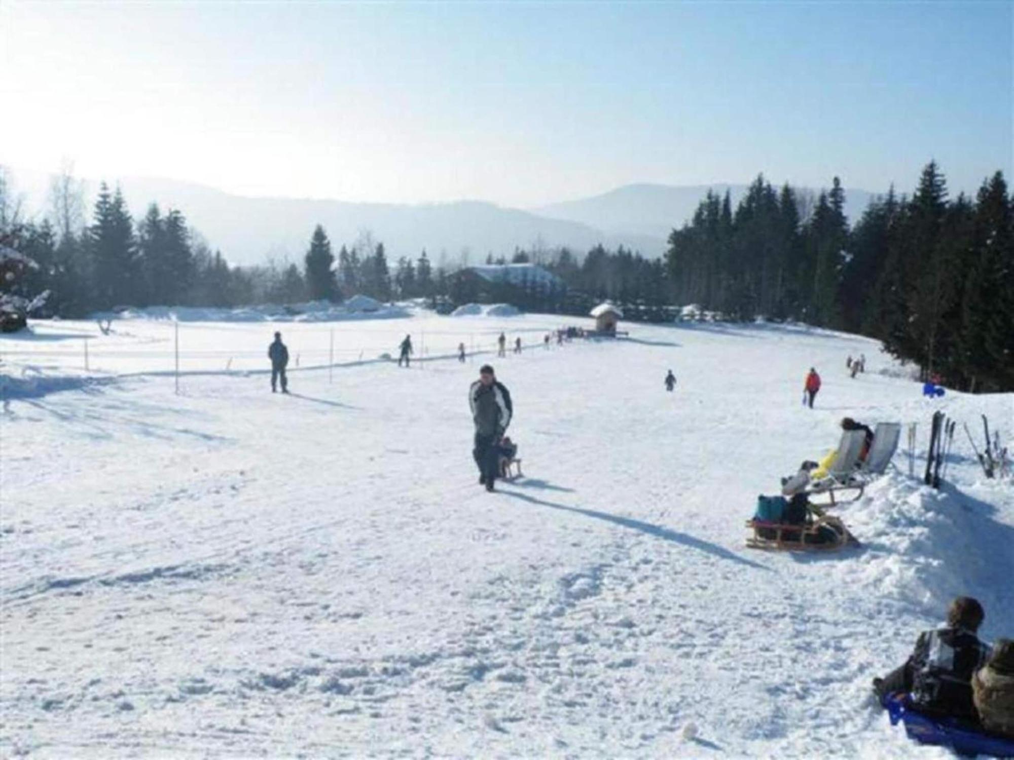דראכזלשריד Comfort Apartment With Balcony In The Beautiful Bavarian Forest מראה חיצוני תמונה