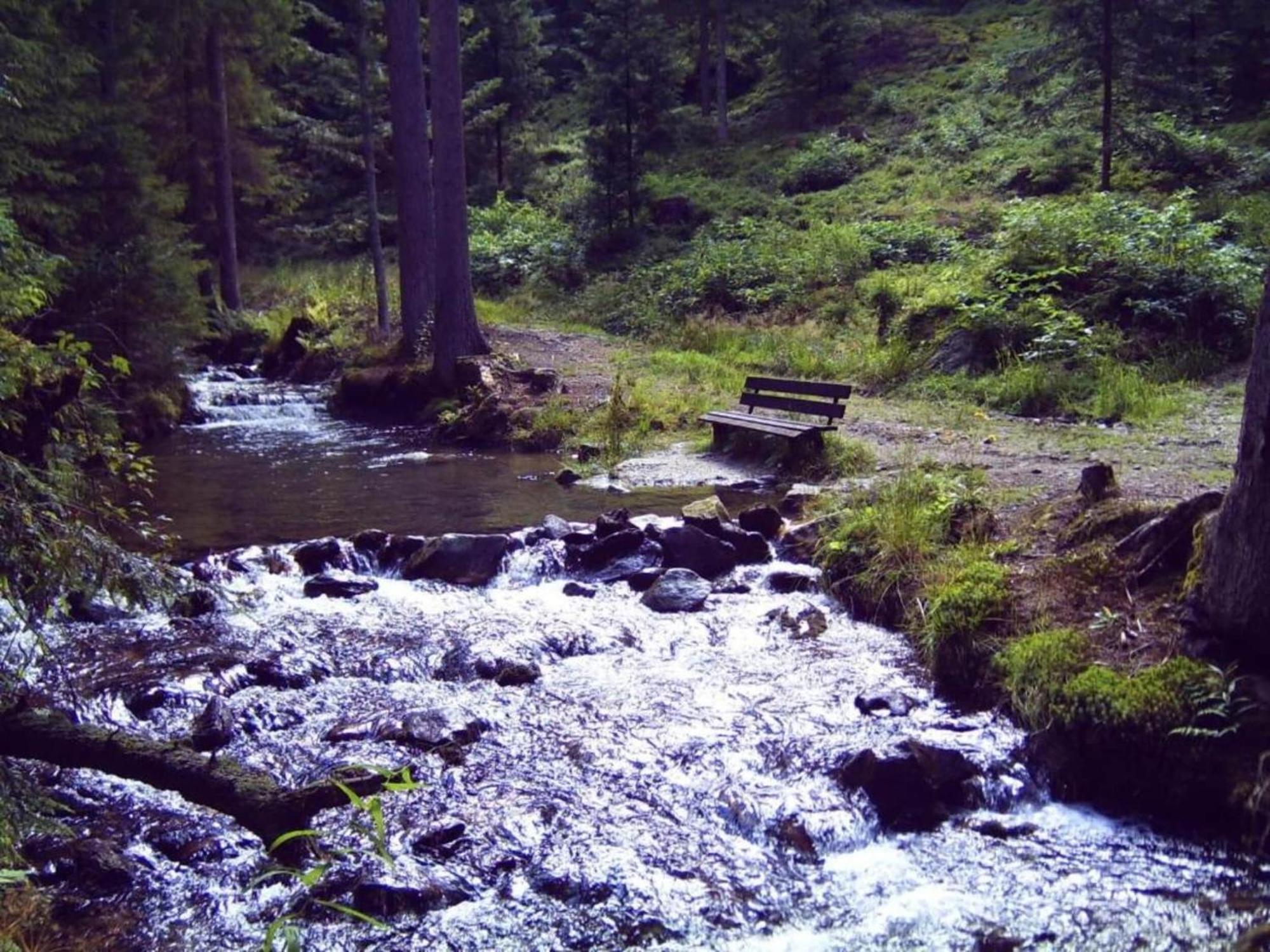 דראכזלשריד Comfort Apartment With Balcony In The Beautiful Bavarian Forest מראה חיצוני תמונה