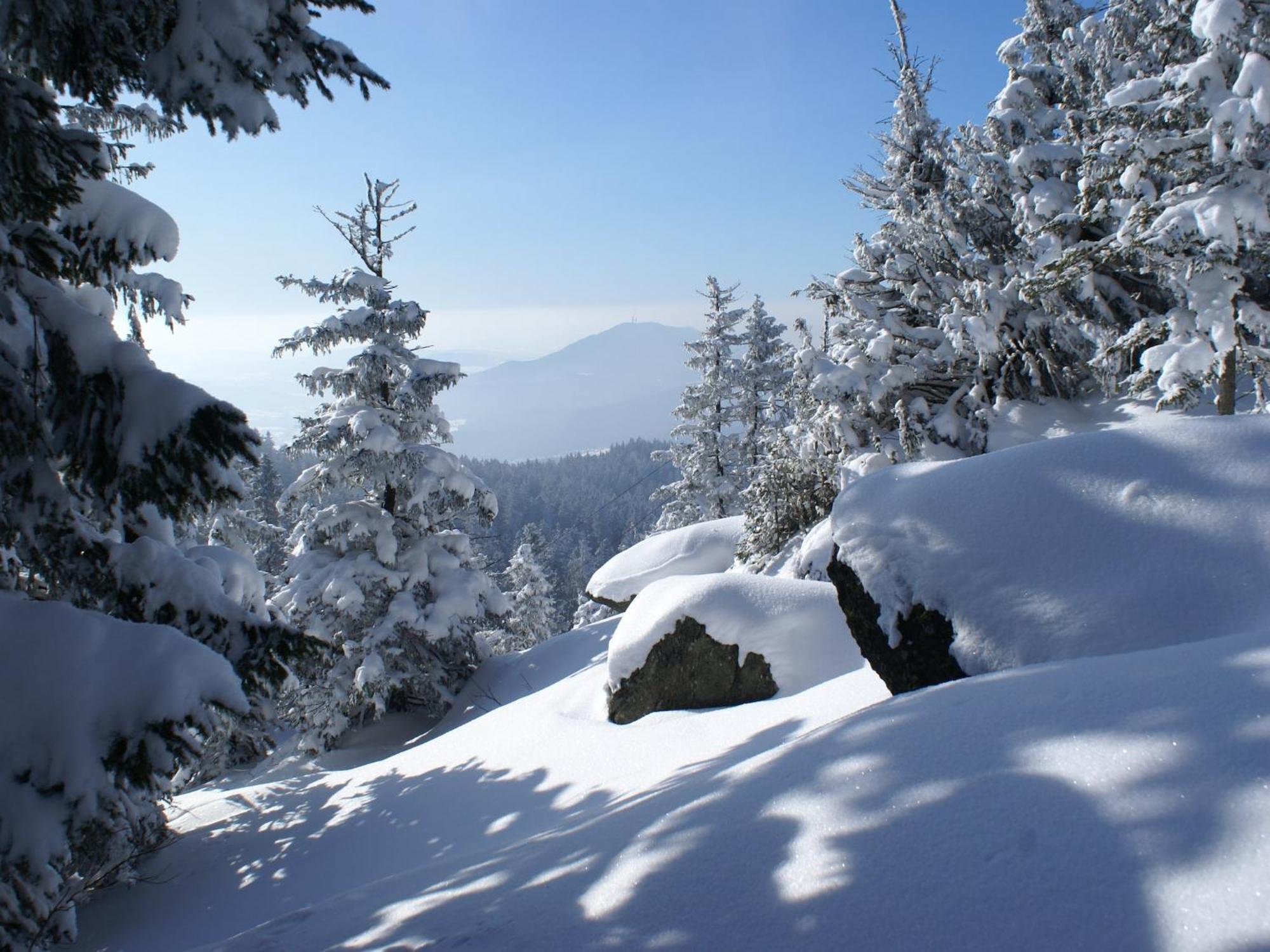 דראכזלשריד Comfort Apartment With Balcony In The Beautiful Bavarian Forest מראה חיצוני תמונה