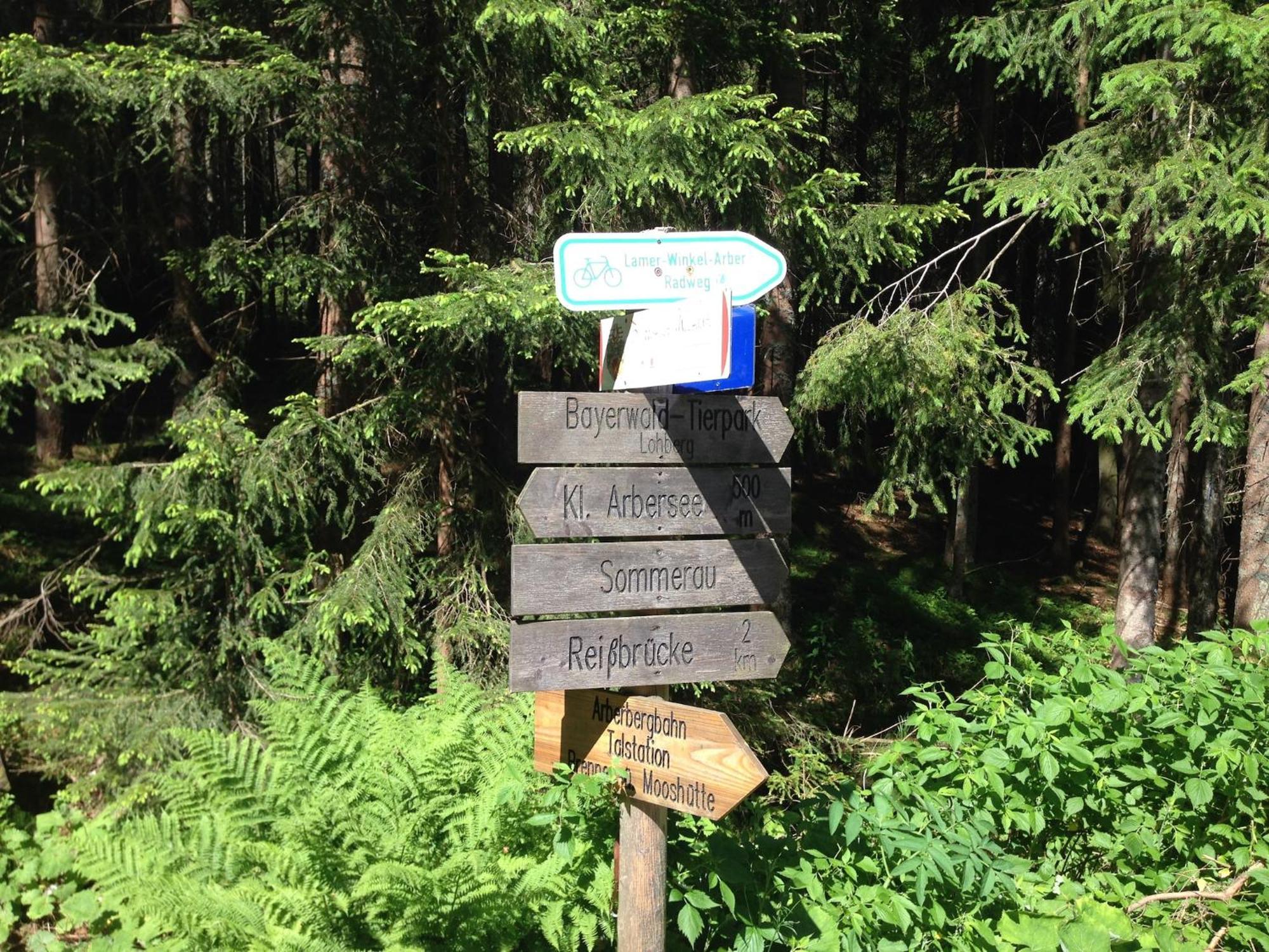 דראכזלשריד Comfort Apartment With Balcony In The Beautiful Bavarian Forest מראה חיצוני תמונה